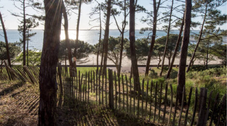Programme immobilier neuf VILLA CAPELLA - Arcachon : Appartements T2–T4 avec terrasses, parking souterrain et ensoleillement optimal à 150 m de la basilique (33120) - Référence : 14273