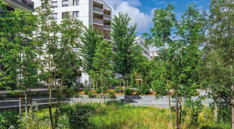 Programme immobilier neuf Edenia - Châtenay Malabry appartements lumineux proche RER B (92290) - Référence : 17626