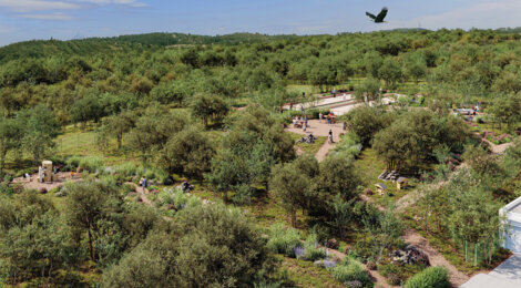 Programme immobilier neuf Domaine Terre Aquila - Ménerbes au sein du parc naturel du Luberon (84560) - Référence : 15809