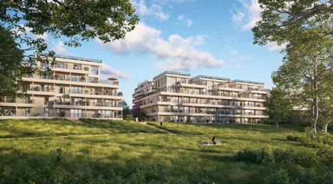 Programme immobilier neuf LE JARDIN DES CARMES - Saint-Germain-en-Laye, résidence neuve en parc boisé près des transports (78100) - Référence : 15951