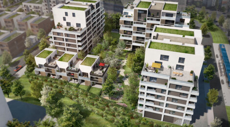 Programme immobilier neuf SUZAN GARDEN - Toulouse : appartements et maisons neuves du 2 au 5 pièces proche du Parc Alalouf (31000) - Référence : 16928