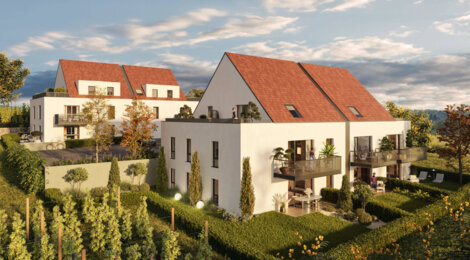 Programme immobilier neuf VITIS - Wettolsheim à proximité de Colmar centre (68920) - Référence : 9117