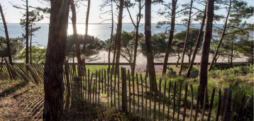 Programme immobilier neuf VILLA CAPELLA - Arcachon : Appartements T2–T4 avec terrasses, parking souterrain et ensoleillement optimal à 150 m de la basilique (33120) - Référence : 14273