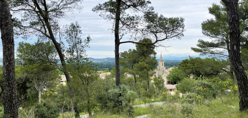 Programme immobilier neuf BELLES DE PROVENCE - Barbentane à deux pas du cœur de village (13570) - Référence : 8907