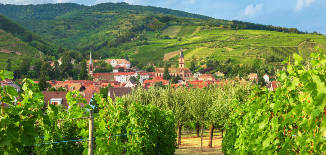 Programme immobilier neuf VITIS - Wettolsheim à proximité de Colmar centre (68920) - Référence : 9117